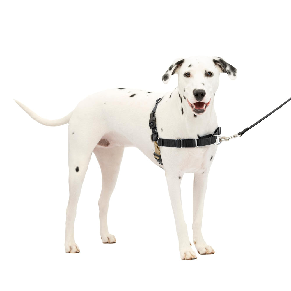 PetSafe Arnés Fácil Paseo, vista frontal con lazo martingala para paseos sin tirar.