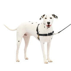 PetSafe Arnés Fácil Paseo, vista frontal con lazo martingala para paseos sin tirar.