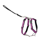 Arnés PetSafe 3 en 1 con anilla frontal para evitar tirones.