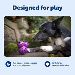 PetSafe Busy Buddy Barnacle: tecnología de medición de premios para liberar con control.
