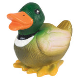 PetSafe pato de látex frente para juego interactivo y duradero