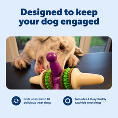 PetSafe Jack: anillos de premio incluidos para recompensa durante el juego.