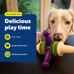PetSafe Busy Buddy Jack: duradero para masticadores grandes y activos