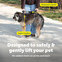 PetSafe CareLift apoyo posoperatorio para traslado seguro