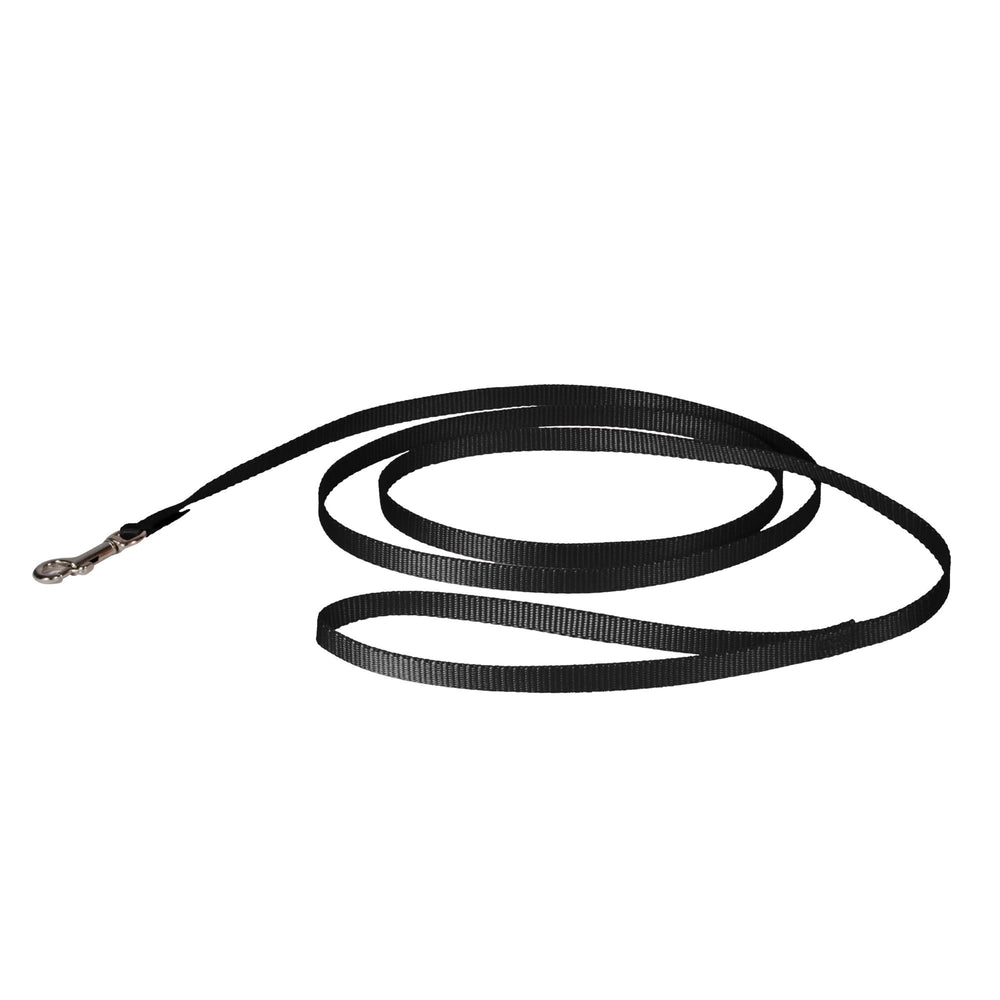 PetSafe correa de nailon negra de 3/8 x 6 pies para paseos diarios