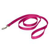 PetSafe correa de nailon para paseos seguros y cómodos.