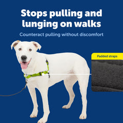 PetSafe Deluxe Easy Walk conexión-correa-delantera, guía suave durante paseos