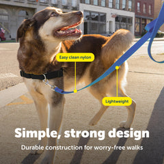 PetSafe: diseño ligero que facilita movimientos sin enredos durante caminatas