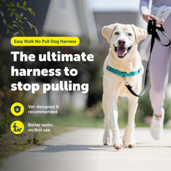PetSafe Easy Walk: correas de confort ajustables para un ajuste personalizado.