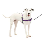 Arnés PetSafe Easy Walk con bucle frontal martingala para paseos más controlados.