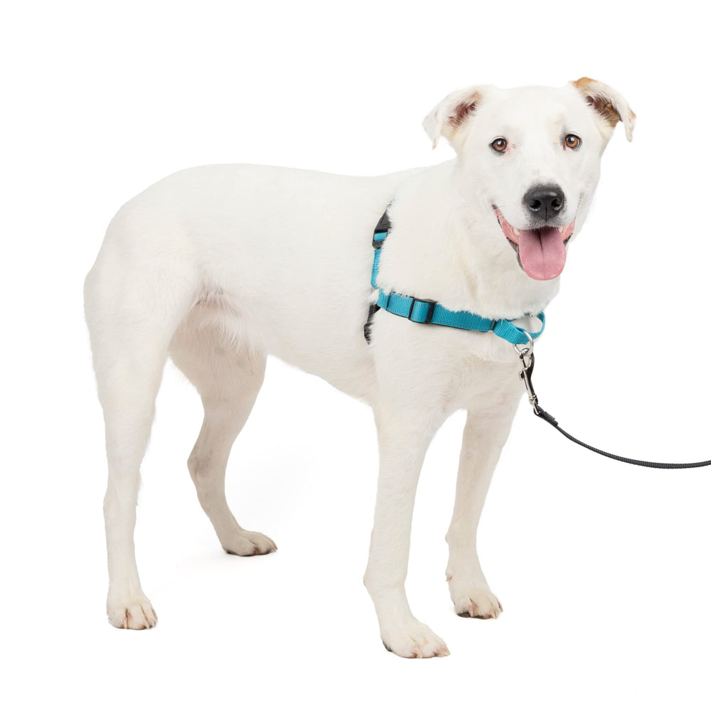 PetSafe Easy Walk Deluxe, correa delantera para paseos más controlados y sin tirar
