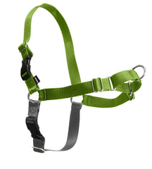 Enganche de correa delantera de PetSafe Easy Walk para guía natural.
