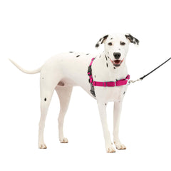 PetSafe Easy Walk con frente martingale para detener tirones de forma suave