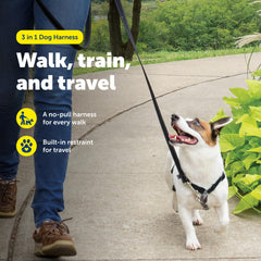 PetSafe enganche delantero de correa mejora el control durante paseos
