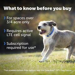 PetSafe Guardian GPS Collar resistente al agua: ideal para paseos y aventuras sin preocupaciones.