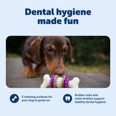 PetSafe Busy Buddy Bristle Bone resistente, hecho de nylon y caucho para perros duros.