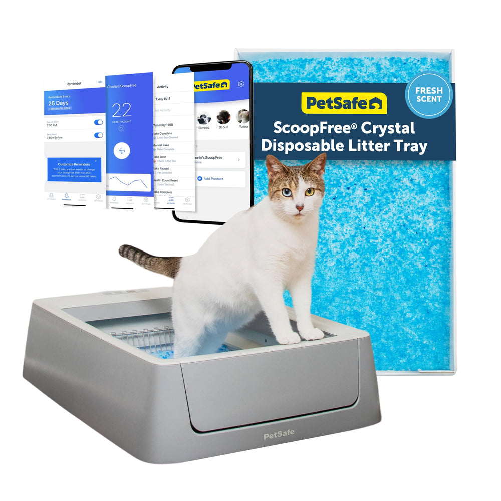 PetSafe ScoopFree Crystal, vista general de la caja de arena automática para gatos y su diseño compacto