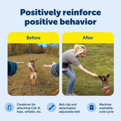 PetSafe Treat Pouch Sport bolsillo frontal para llaves y teléfono durante la sesión de entrenamiento
