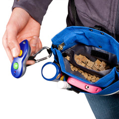 PetSafe Treat Pouch Sport resistente al agua, ideal para paseos con clima variable.