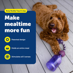 PetSafe Tug-A-Jug con cuerda trenzada para tirar, perfecto para juego activo