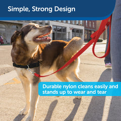 PetSafe uso diario: correa nylon para paseos y entrenamiento suave.