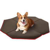 PETSFIT estera para jaula octagonal, frente, comodidad en área de juego.