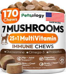 Petsology Cola de Pavo para perros, chicles en bote, apoyo inmunológico potencial