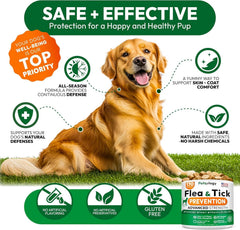 Petsology formato veterinario, apto para todas las razas y tamaños.