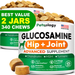 Petsology glucosamina para perros, masticables de 340, mejora la movilidad