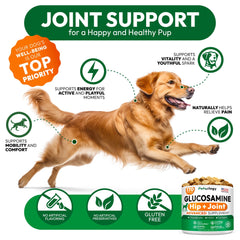 Petsology Glucosamina para perros: ingredientes clave para el cuidado articular.