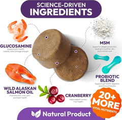 Petsology multivitamínico para perros masticables en mano, fácil de administrar.