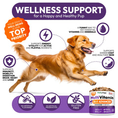 Petsology glucosamina y condroitina en masticables para articulaciones sanas