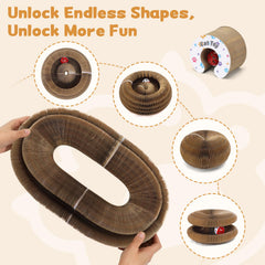 PETSWEET Magic Organ pista circular 360: juego interactivo para morder y perseguir.