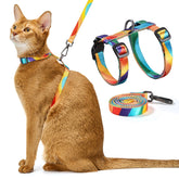 Harnais PetThem anti echappement sur chat lors d une promenade.