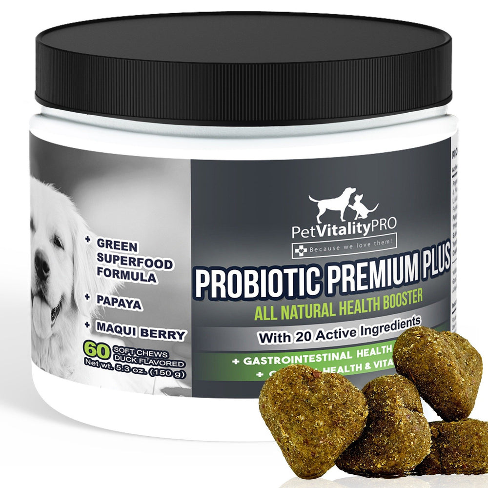 PetVitalityPRO Probióticos para perros, botella, podría apoyar la salud intestinal con enzimas.