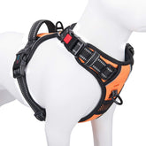 PHOEPET arnés sin tirones para perro pequeño, vista frontal en naranja, ajuste cómodo.
