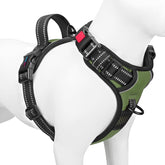 PHOEPET arnés sin tirones con anilla frontal para control durante paseos.