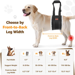 PICK FOR LIFE rehabilitación postoperatoria para perros con movilidad reducida