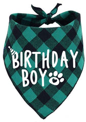PICKUPIK bandana verde para perro, frente visible para look festivo