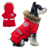 La chaqueta Pina para perro pequeño protege de lluvia y viento.