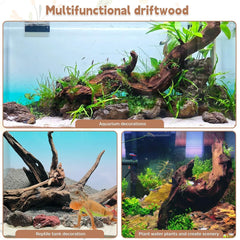 PINVNBY Madera deriva grande, ideal para reptiles, favorece trepar y descanso.