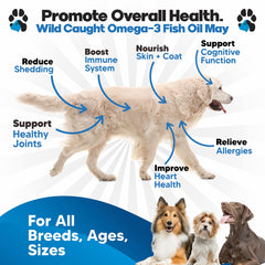 Planopaws Dose huile poisson chiens: administration pratique sur la nourriture.