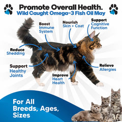 Planopaws Omega-3 dispensador gatos: dosificación rápida para la comida.