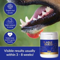 Plaque Banish: aroma fresco para la rutina de cepillado de mascotas.