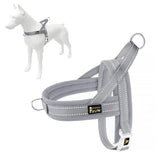 Arnés PLUTUS PET, frente con ajuste rápido, fácil de colocar para paseos diarios.