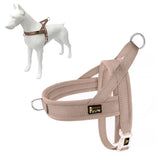 Arnés sin tirones de PLUTUS PET con malla transpirable para paseos confortables