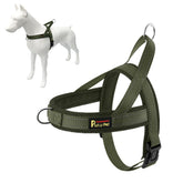 Plutus Pet arnés sin tirones con malla transpirable para comodidad diaria.