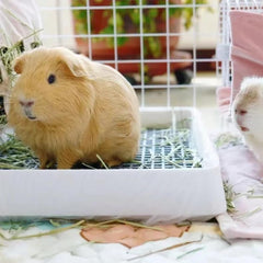 PODOO rejilla resistente facilita la limpieza y evita residuos en las patas.