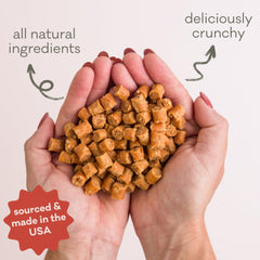 Polkadog Saumon riche en omega3, soutien potentiel pour peau et pelage