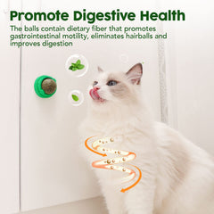 Potaroma dientes gatos limpieza ayuda a mantener higiene oral durante juego.
